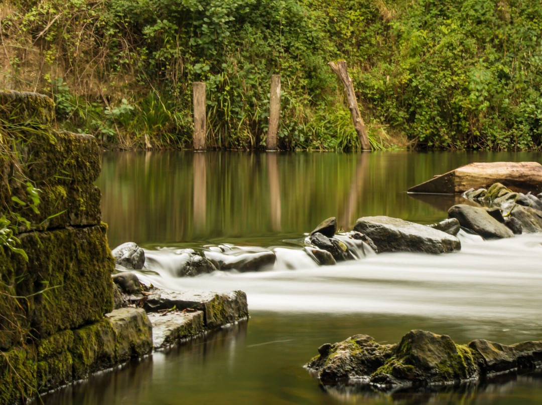 Alyn Waters Country Park景点图片