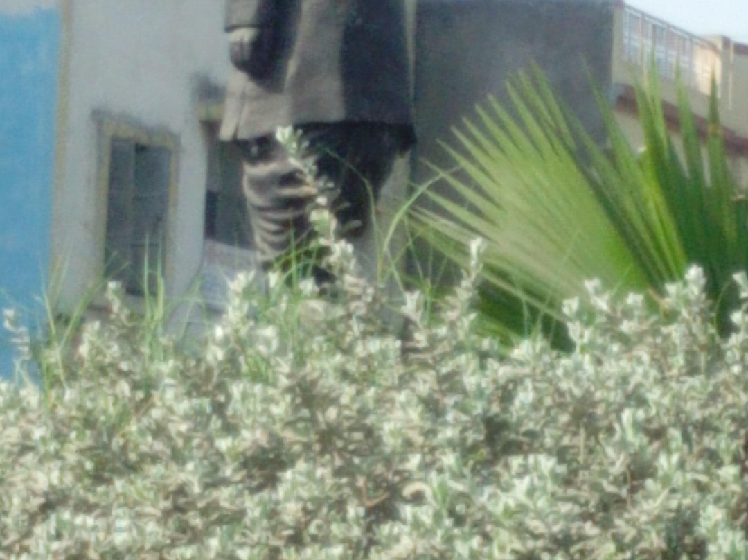 Sardar Patel Statue景点图片