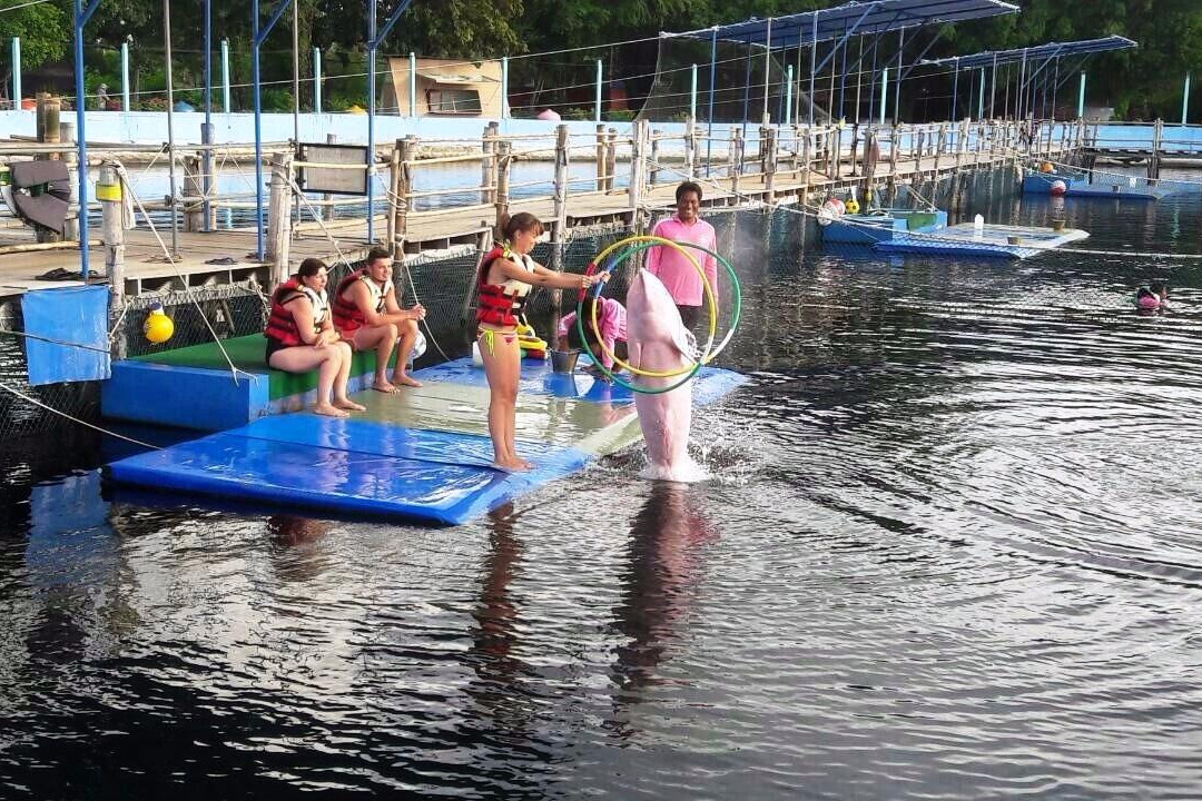 暹罗升级水上运动-象岛必去景点