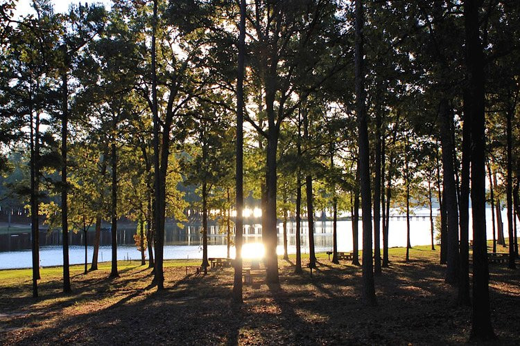 Springhill旅游景点-Cypress Black Bayou Park & Recreation Area