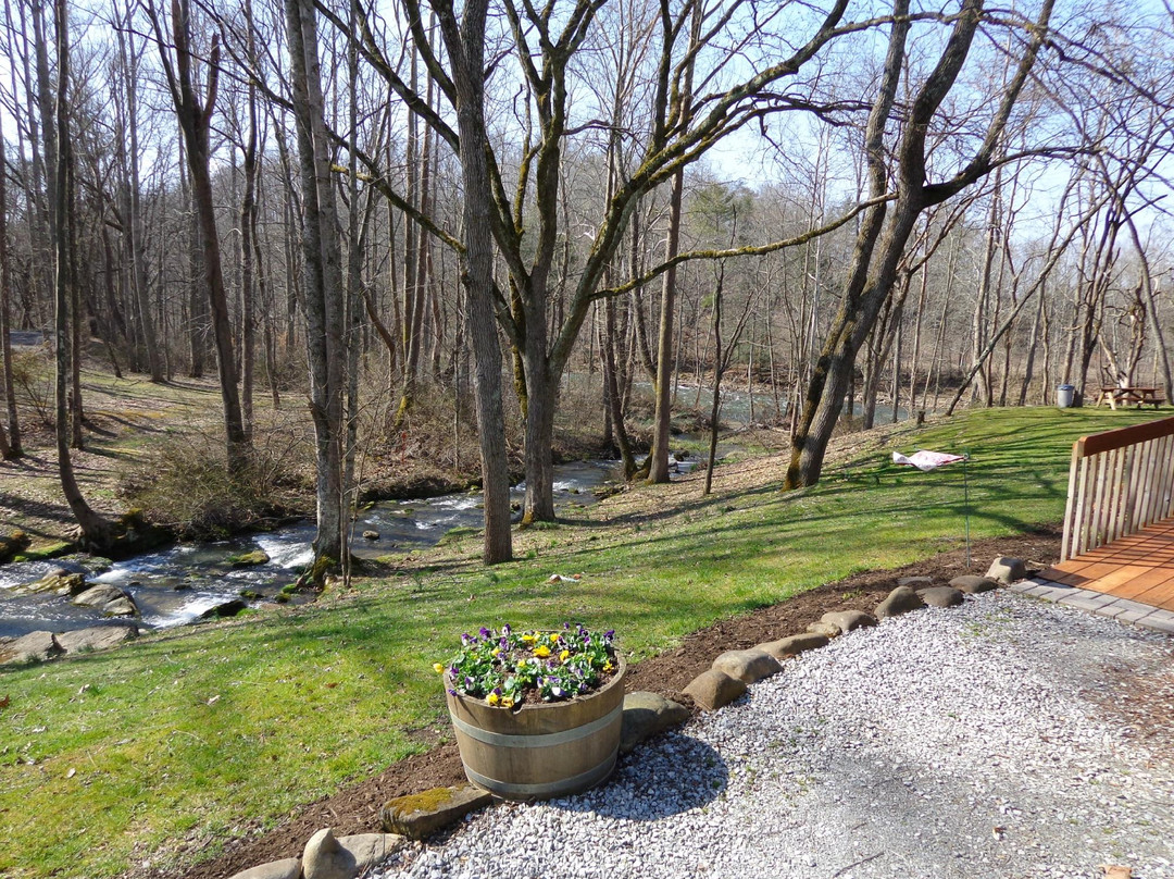 Abingdon旅游景点-Abingdon Vineyards