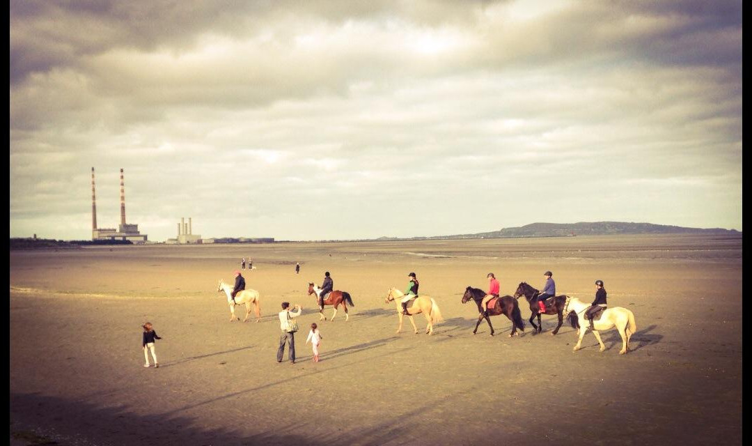 The Paddocks Riding Centre景点图片