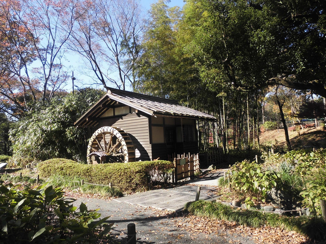 Kyodo No Mori Museum景点图片