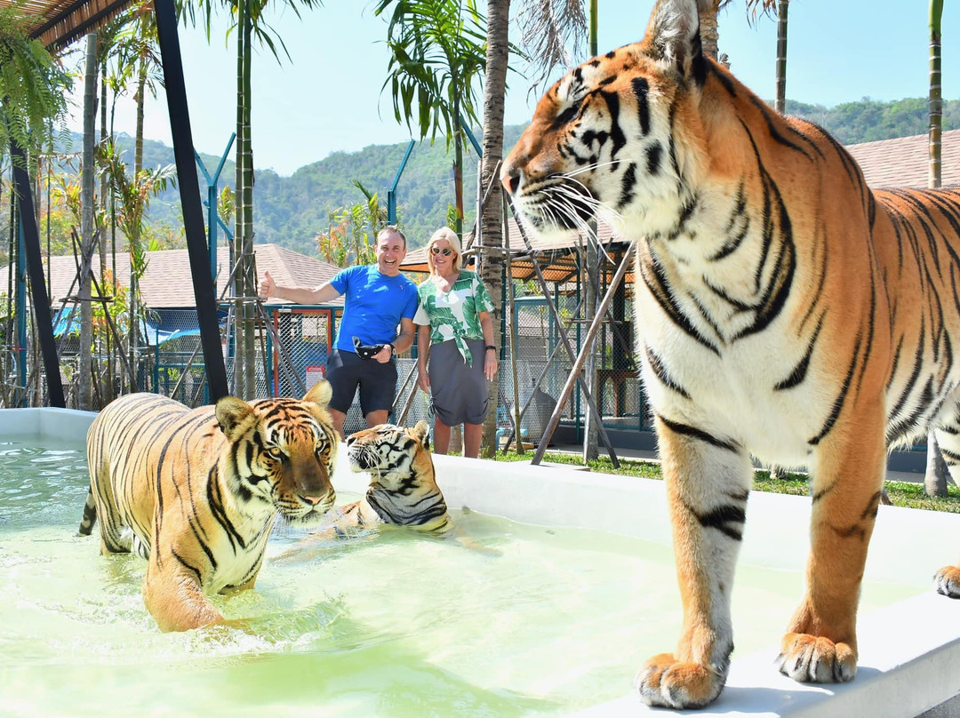 Tiger PARK Phuket景点图片