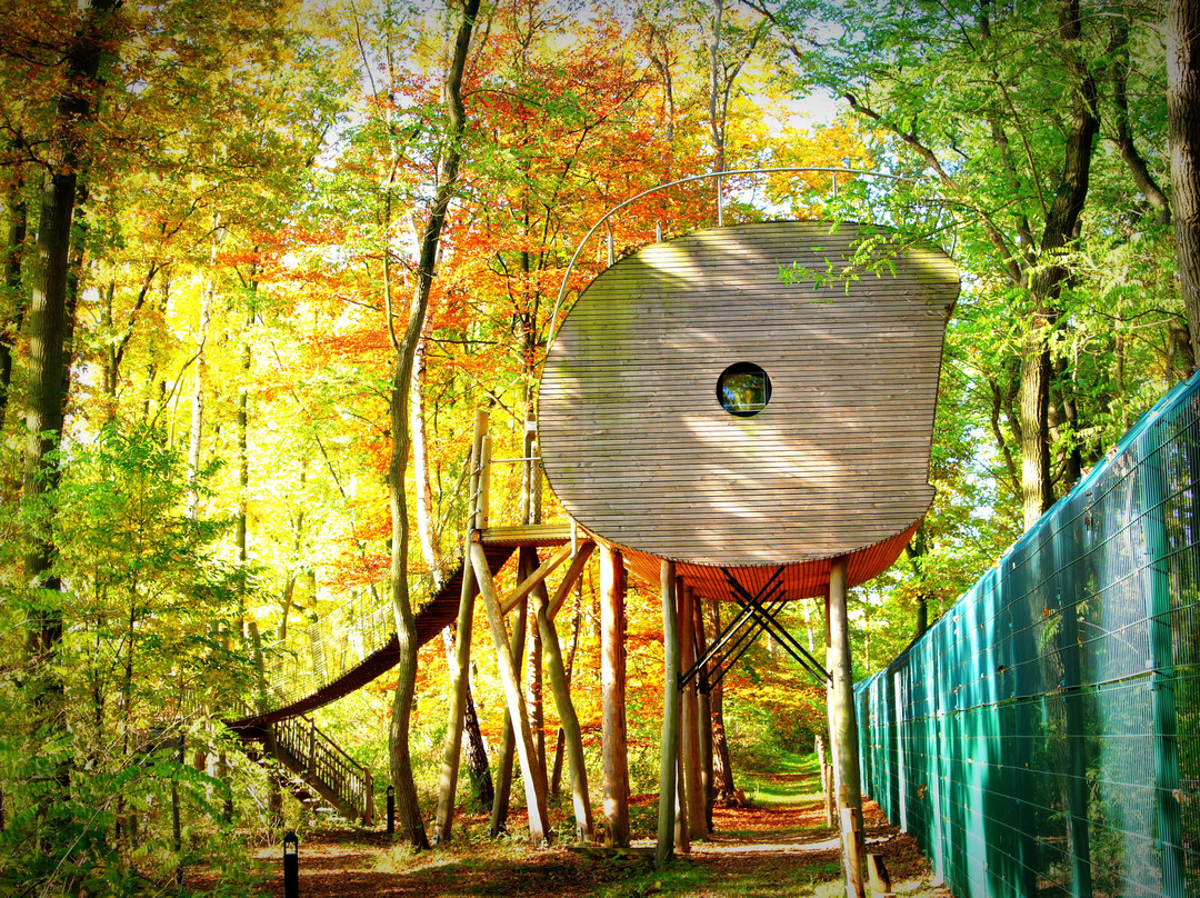 Tree Inn - Das Baumhaushotel