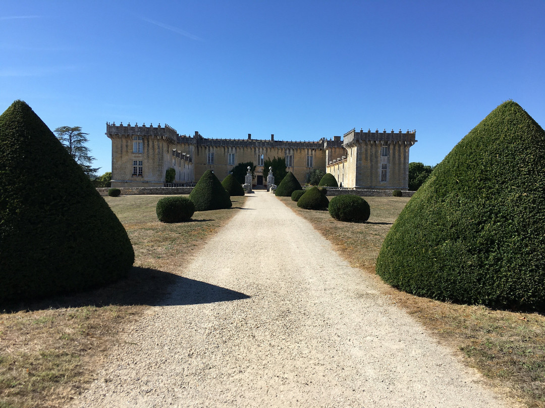Château Chesnel景点图片
