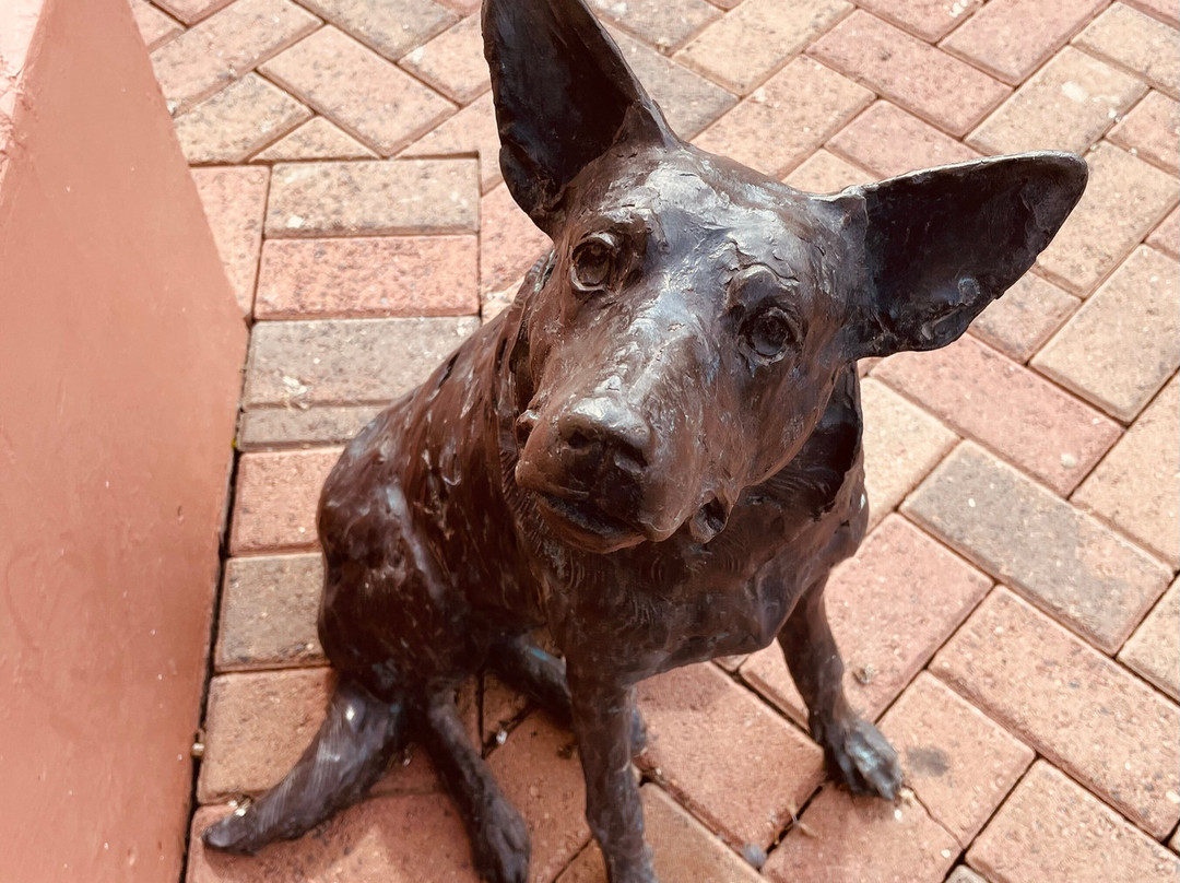 Rosa ( Dog Sculpture)景点图片