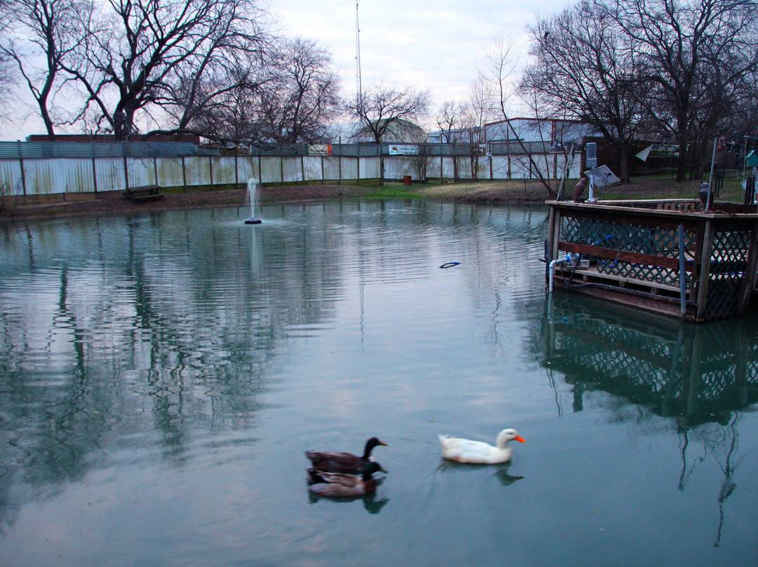 Old Irish Inn / Alpaca Inn主图