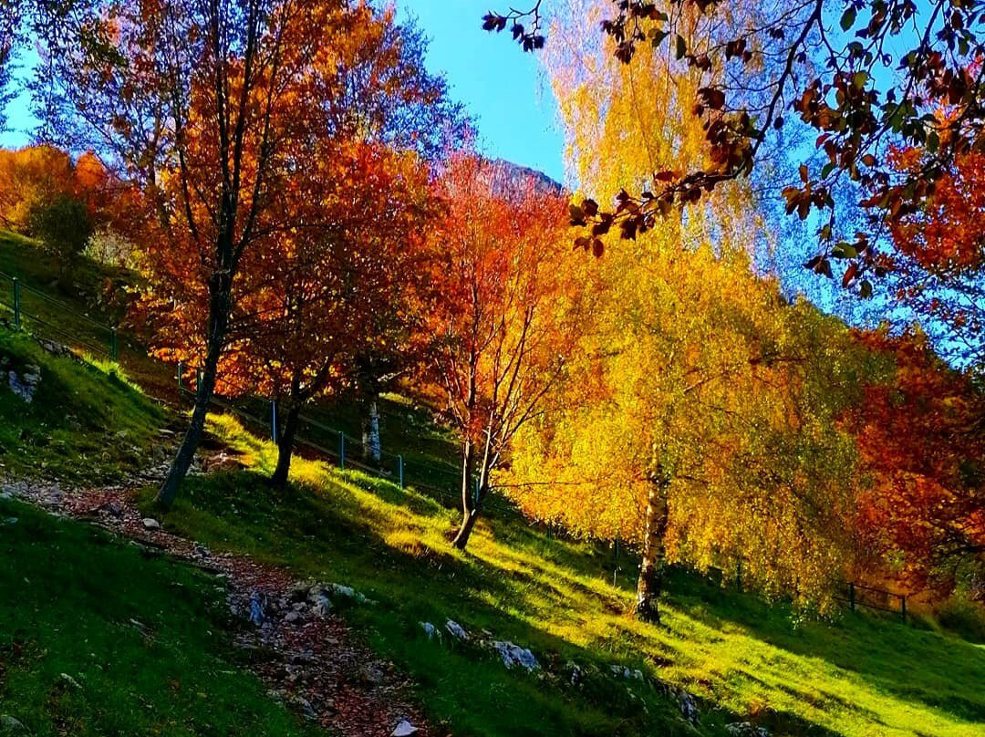 Corni di Canzo景点图片