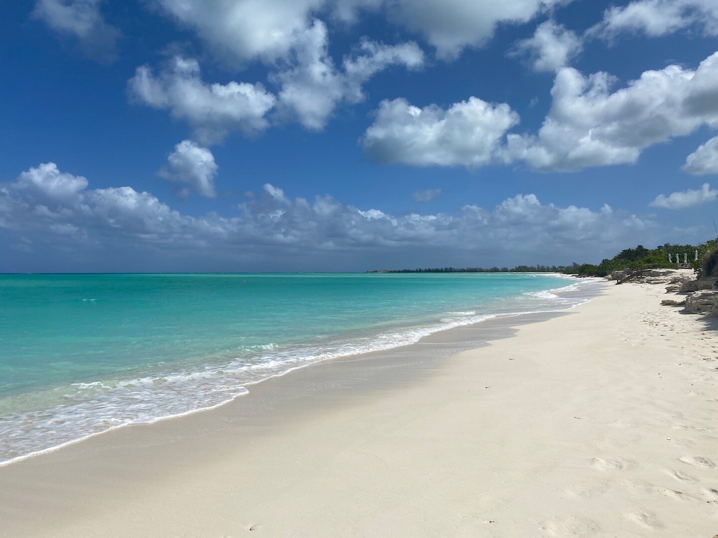 Como Parrot Cay-泳池