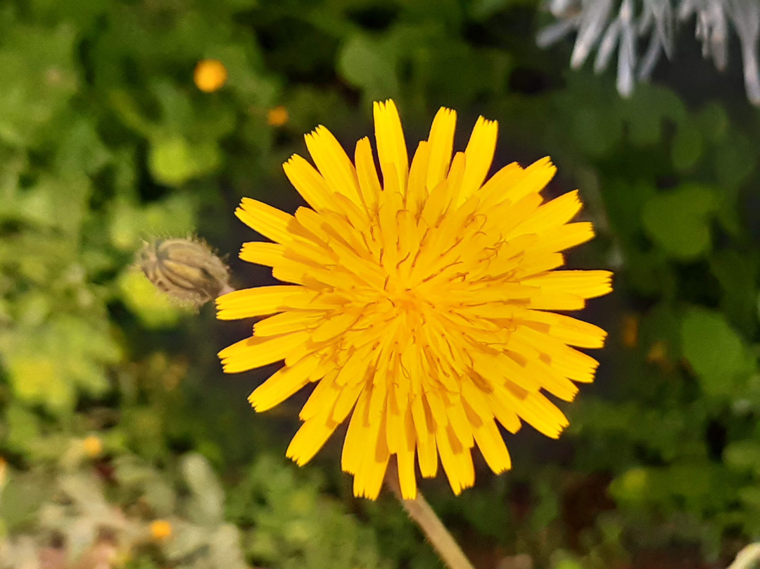 Cala Rio Flumini-Palmadula必去景点