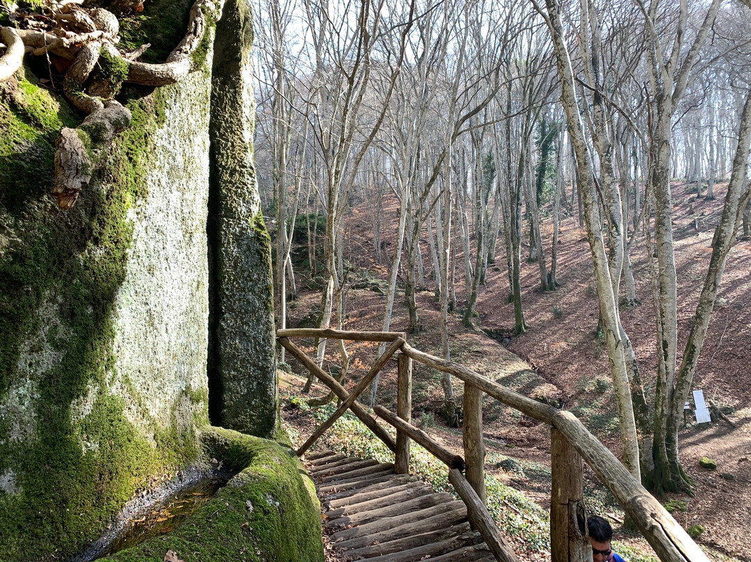 Eremo di San Girolamo-Cura di Vetralla必去景点