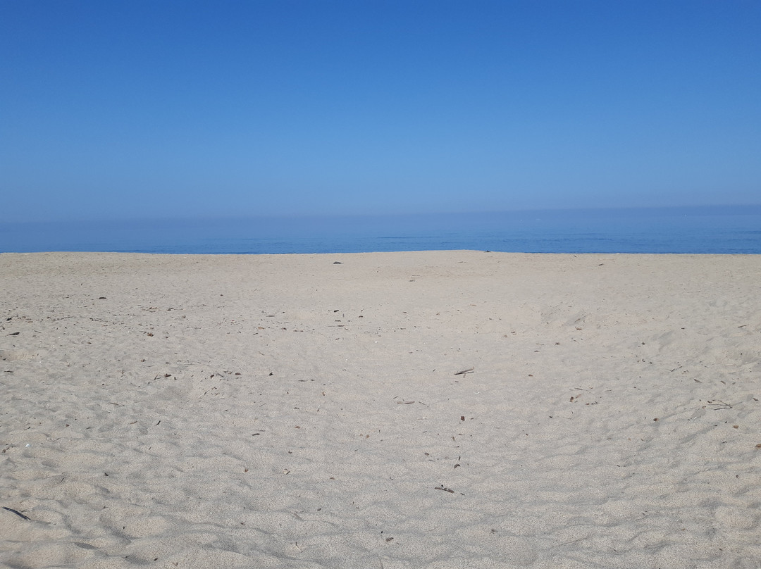 Spiaggia di Platamona-Platamona必去景点