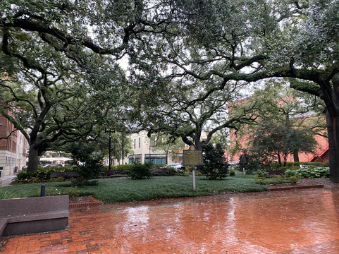 Southern Flavors Savannah-萨凡纳必去景点