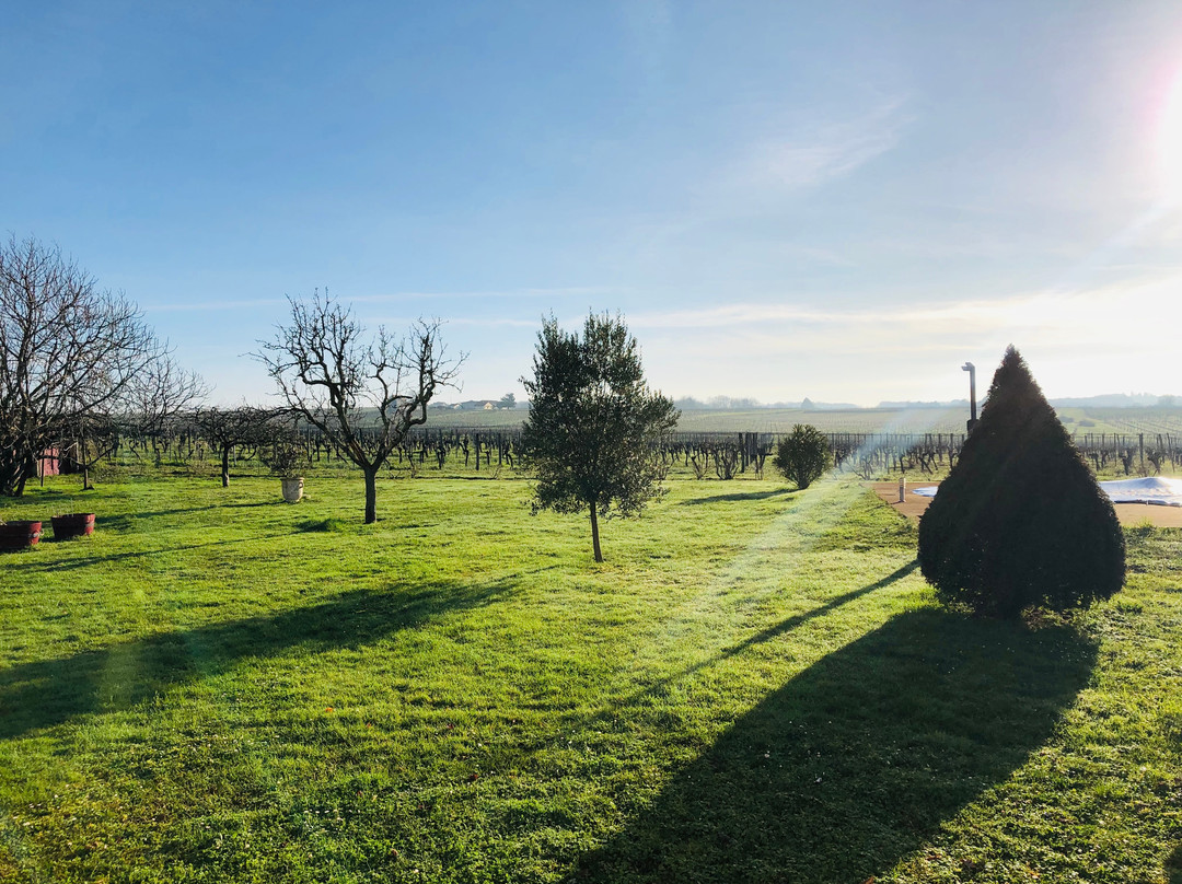 Domaine De Blaignac
