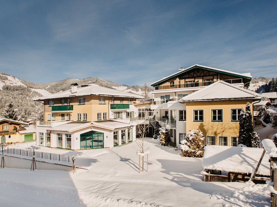 Alpina Wagrain主图