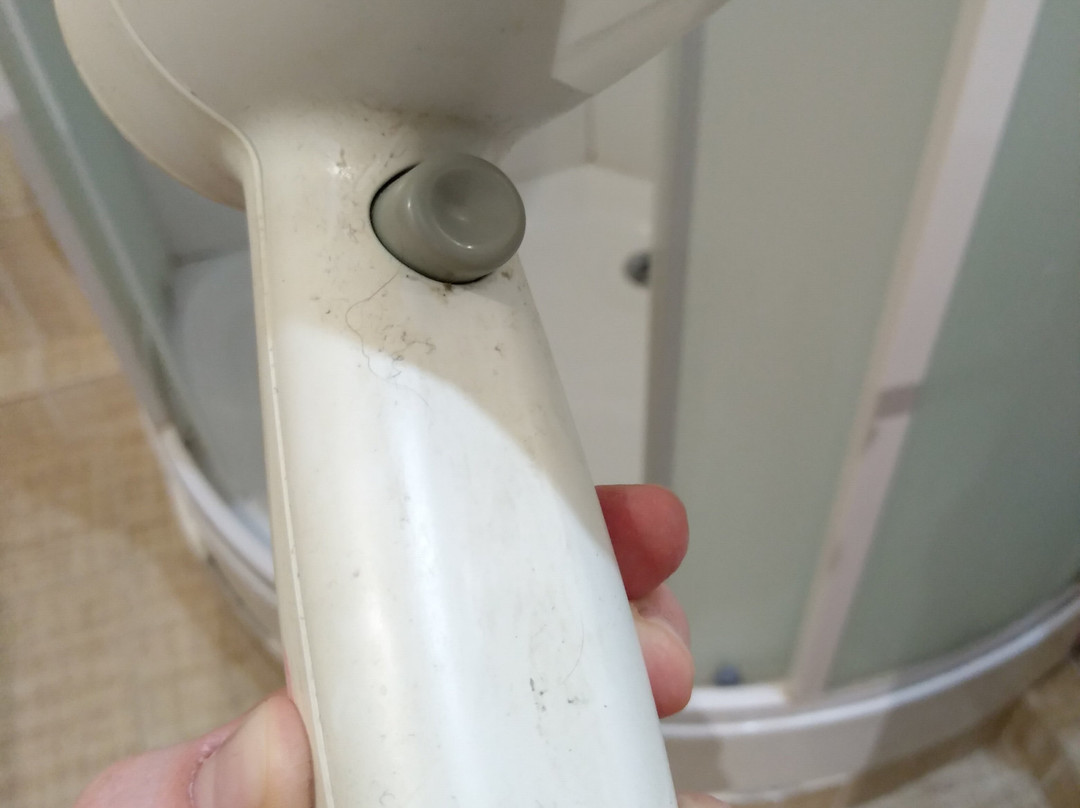 Solovyinaya Roshha主图