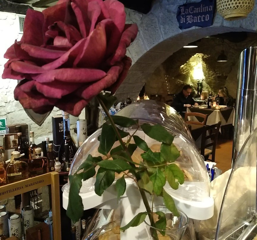 Locanda Cantina Di Bacco主图