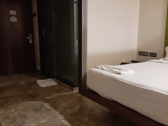 萨拉南酒店主图