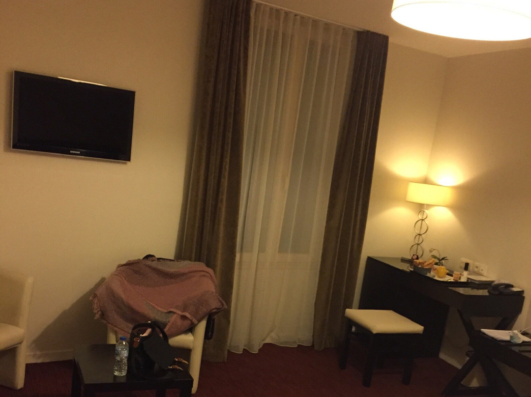 Hôtel Burgevin主图
