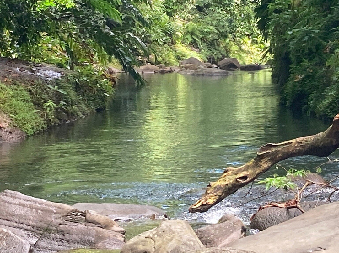 Saut de la Lézarde景点图片
