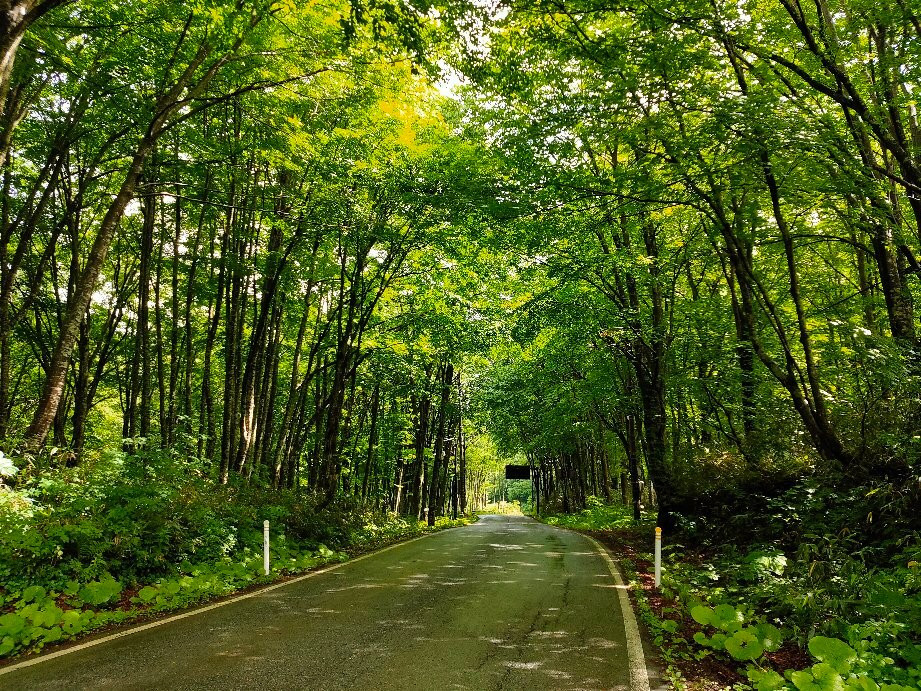 Nyuto Onsen-仙北市必去景点