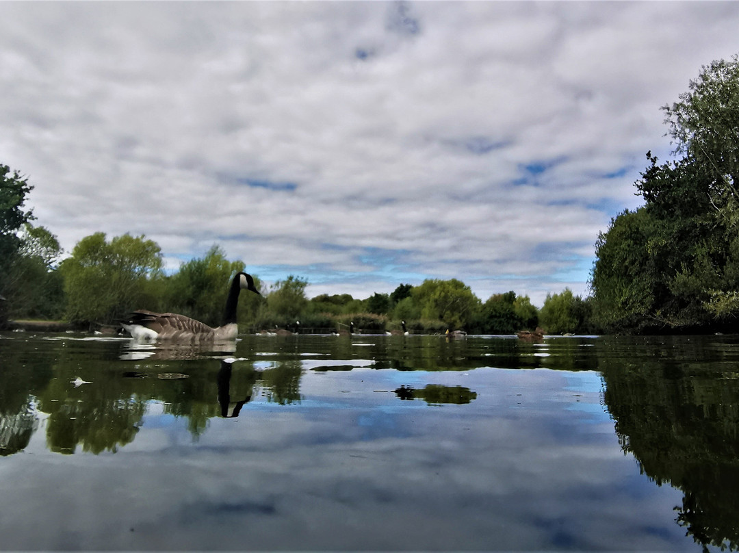 Hornchurch Country Park景点图片