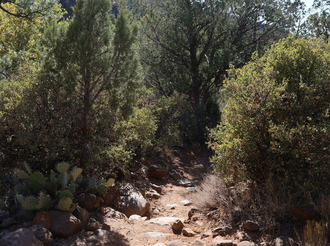 Coconino National Forest-弗拉格斯塔夫必去景点