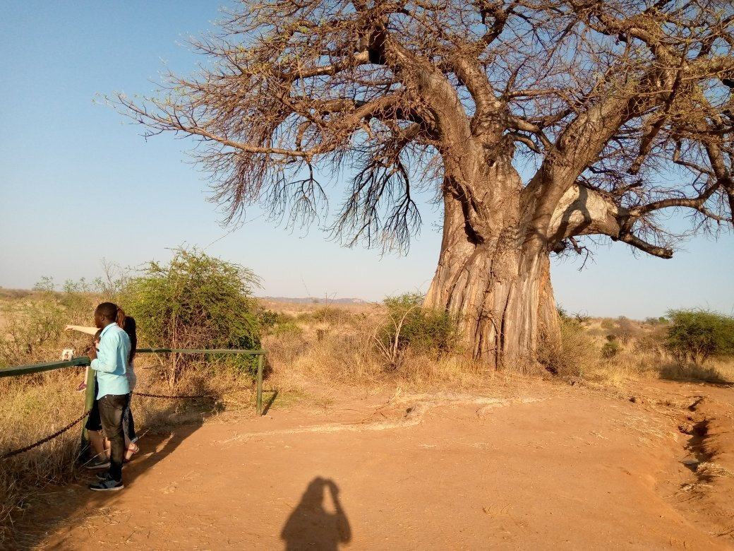 Wild Gaze Safaris Ltd-Iringa必去景点