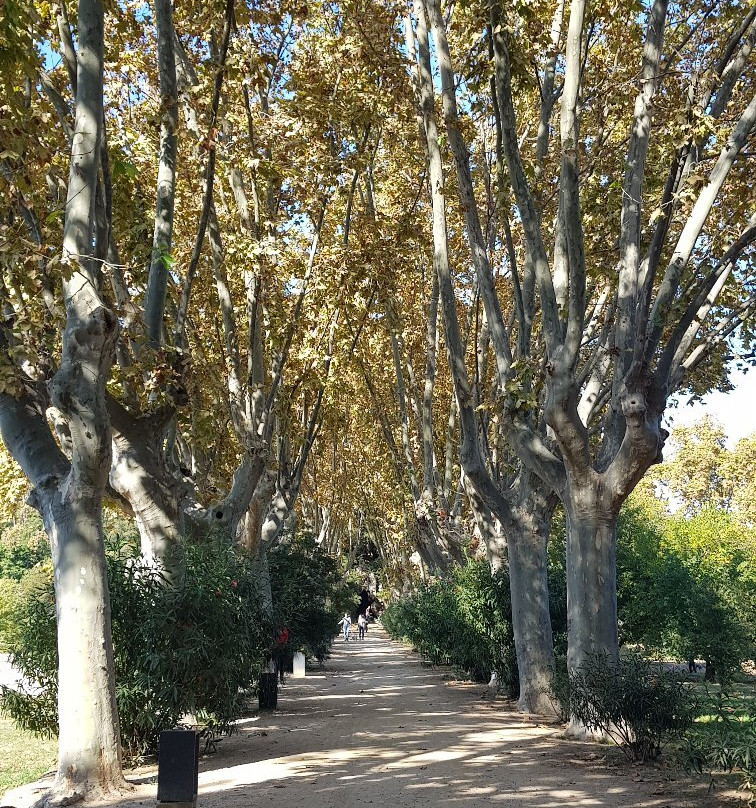 Parque de Can Solei i Ca l'Arnus景点图片
