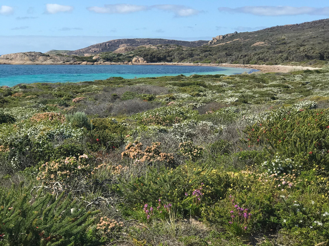 Rossiter Bay-埃斯佩兰斯必去景点