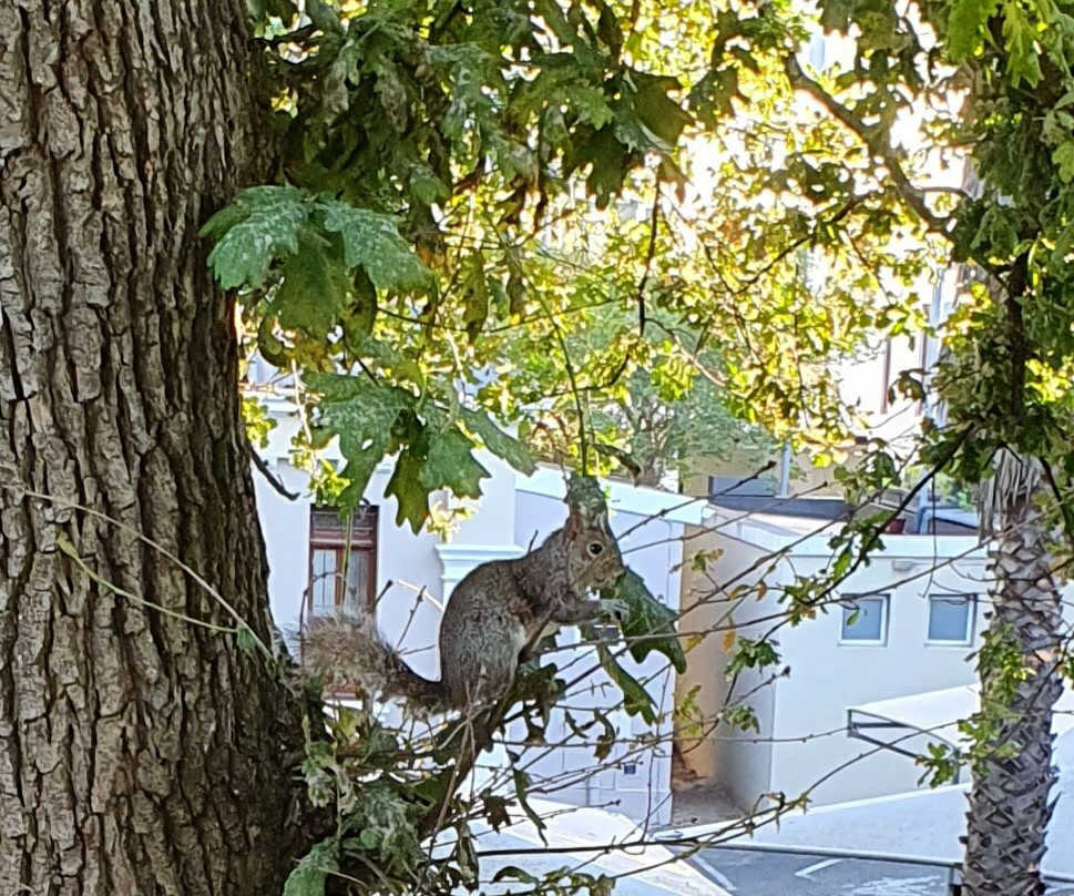 和睦精品酒店主图