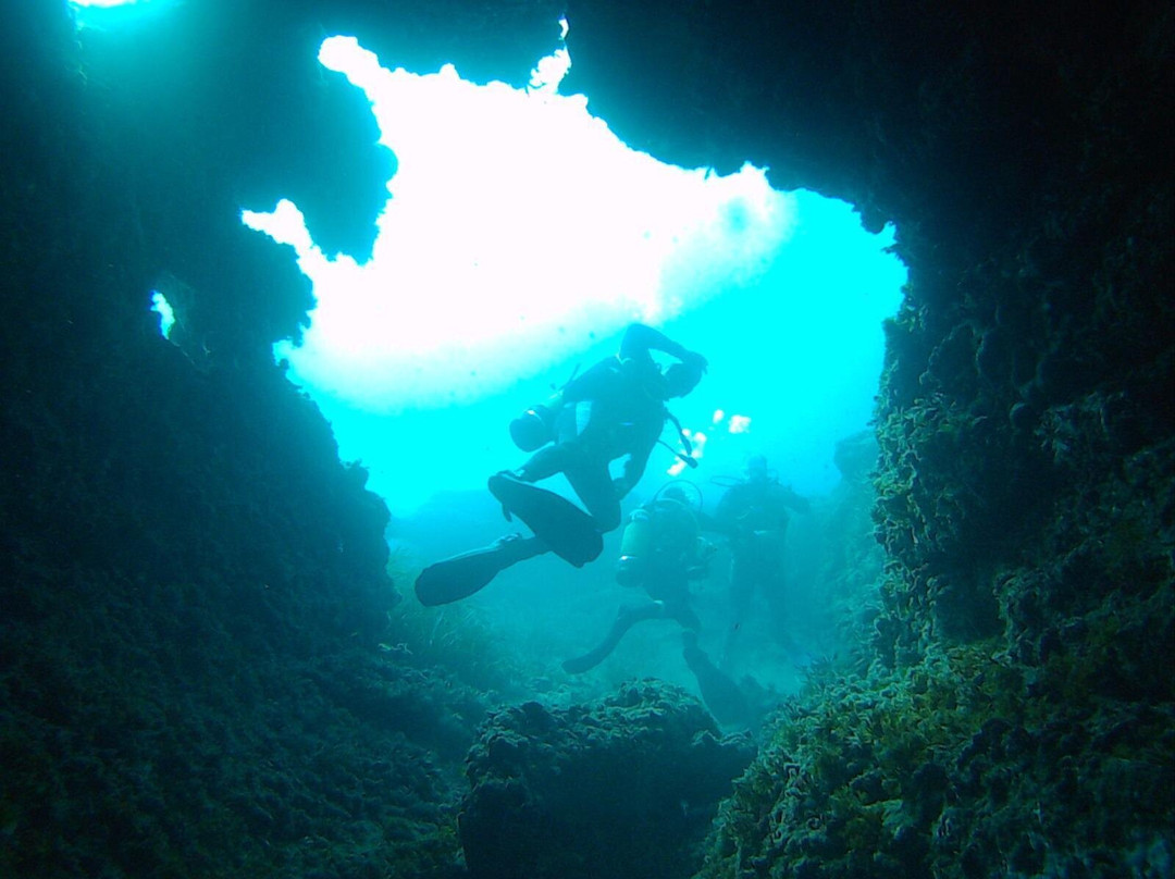Planet Sea Scuba Centre-Ta' Xbiex必去景点