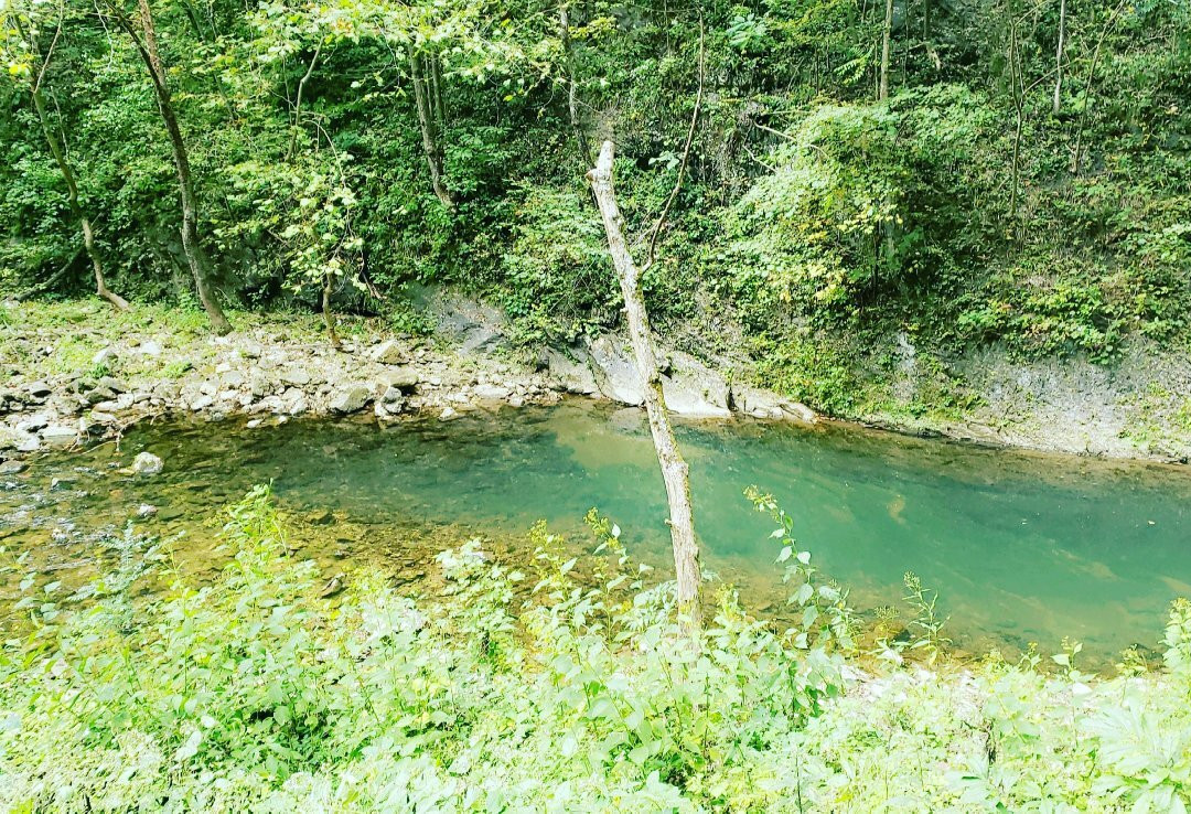 Natural Tunnel State Park景点图片