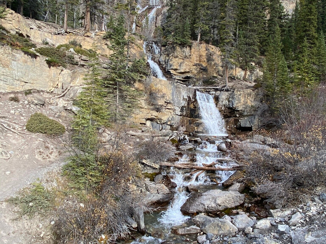 Tangle Creek Falls-贾斯珀国家公园必去景点