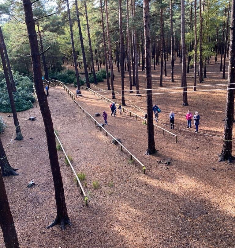 Go Ape Bracknell-布拉克内尔必去景点