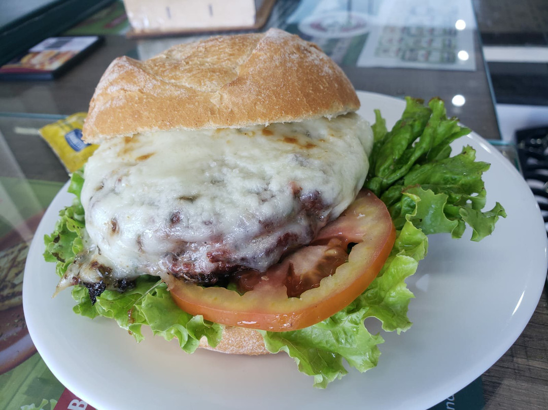 Palmito da Fazenda-Registro必去景点