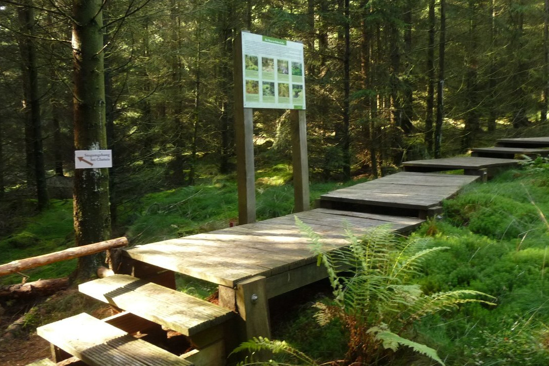 Kellerwaldturm-Bad Zwesten必去景点