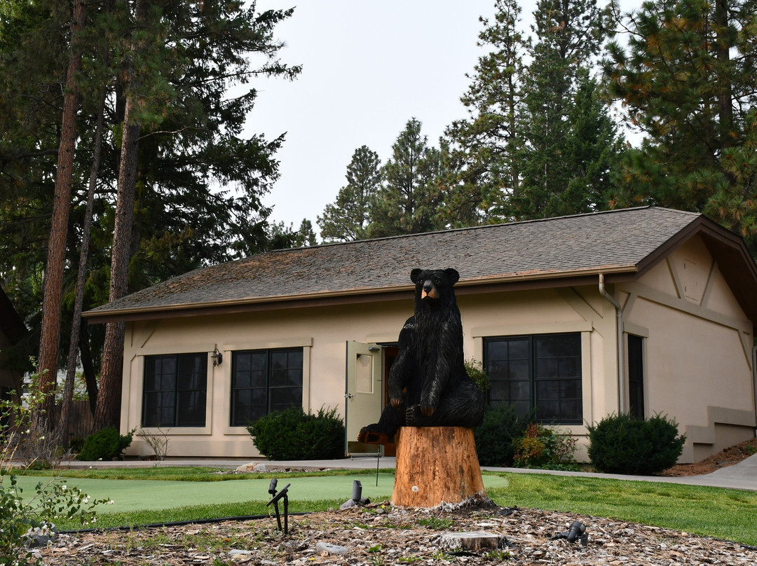 Bigfork Mountain Lake Lodge主图