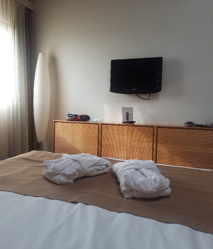 The Ziba Hotel & Spa主图