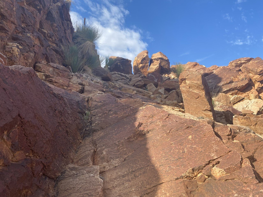 Arkaroola Wilderness Sanctuary景点图片