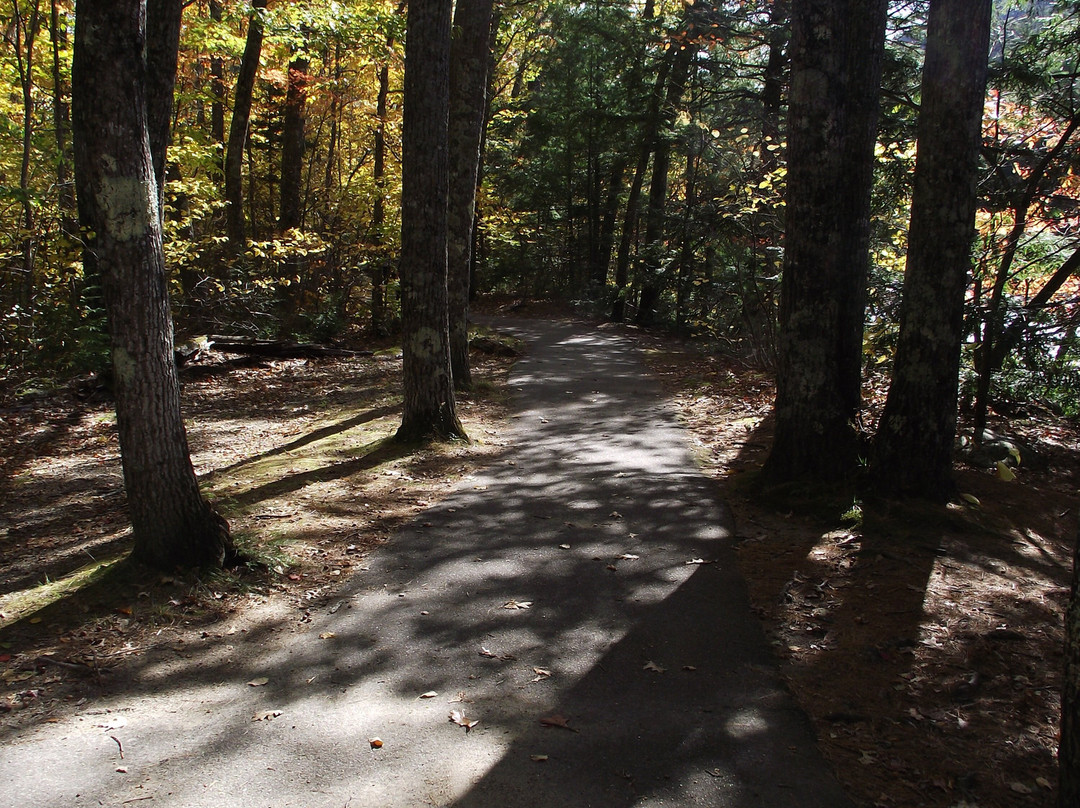 White Mountain National Forest景点图片