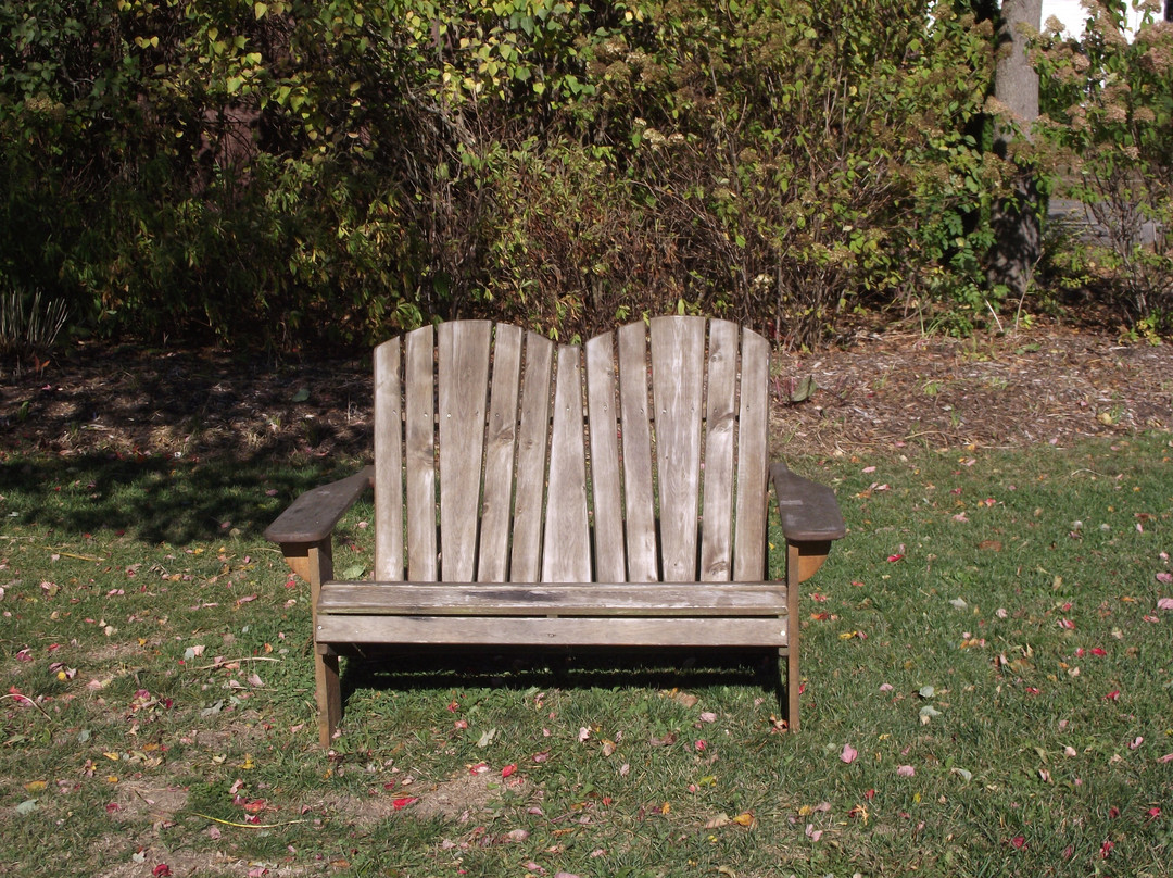 Silas Perkins Park