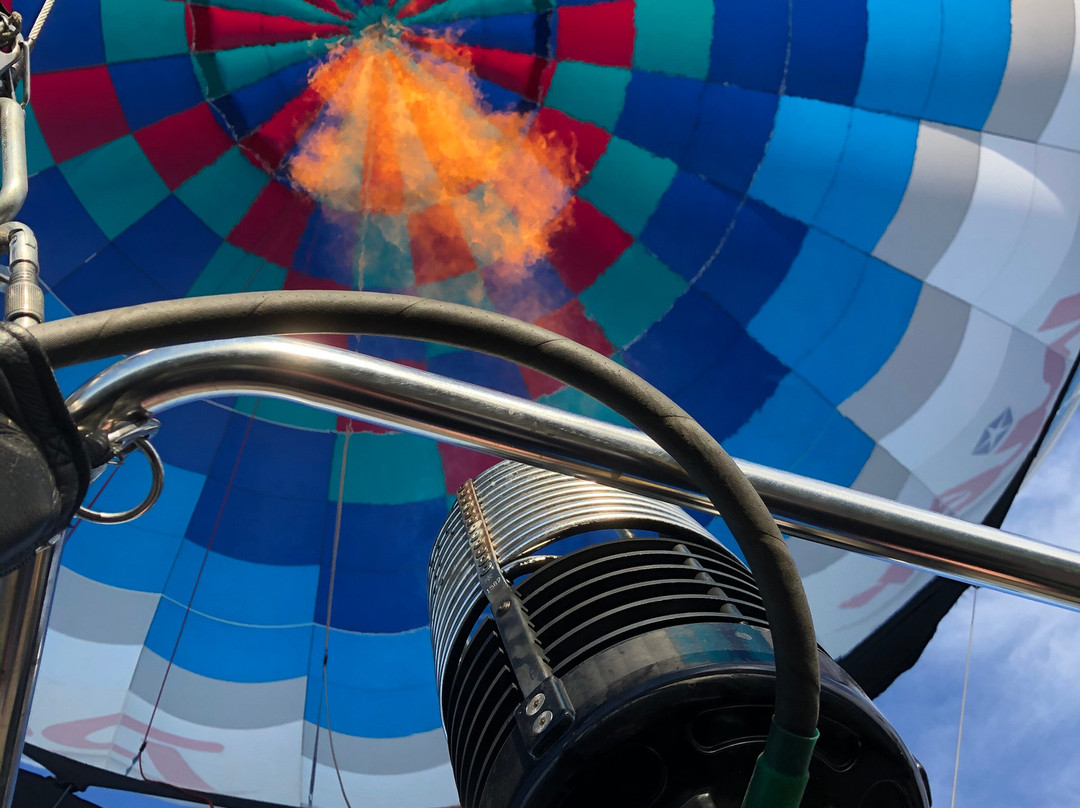 East Coast Balloon Adventures景点图片