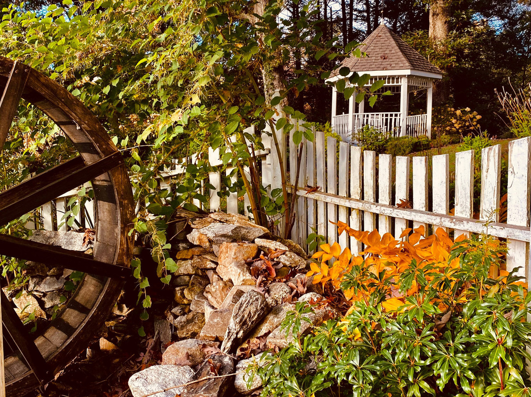 Oak Hill on Love Lane Bed & Breakfast主图