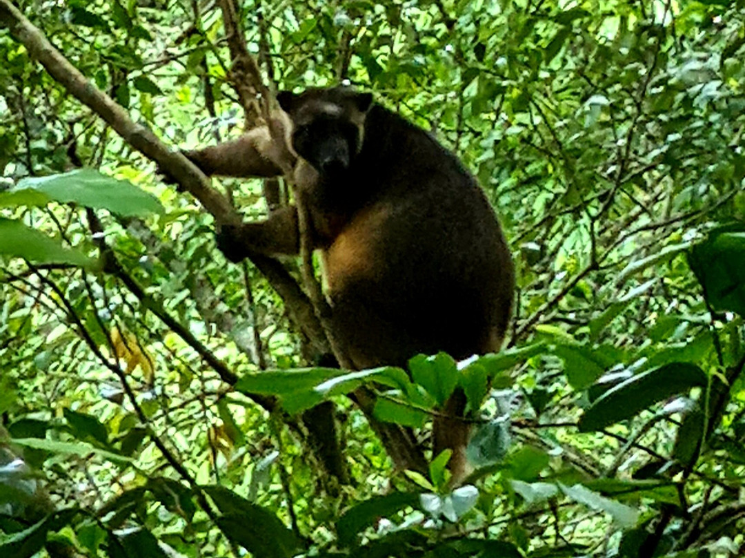 Mt. Hypipamee National Park-马兰达必去景点