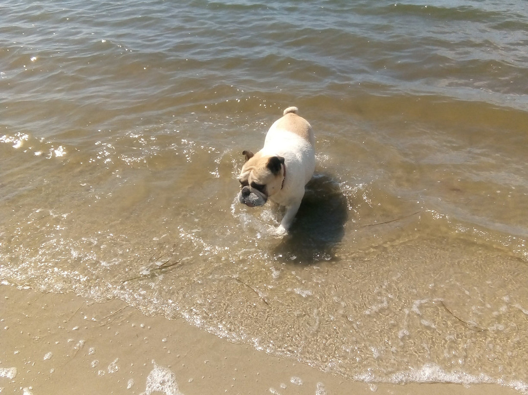 Jadran Motel & El Jay Holiday Lodge主图