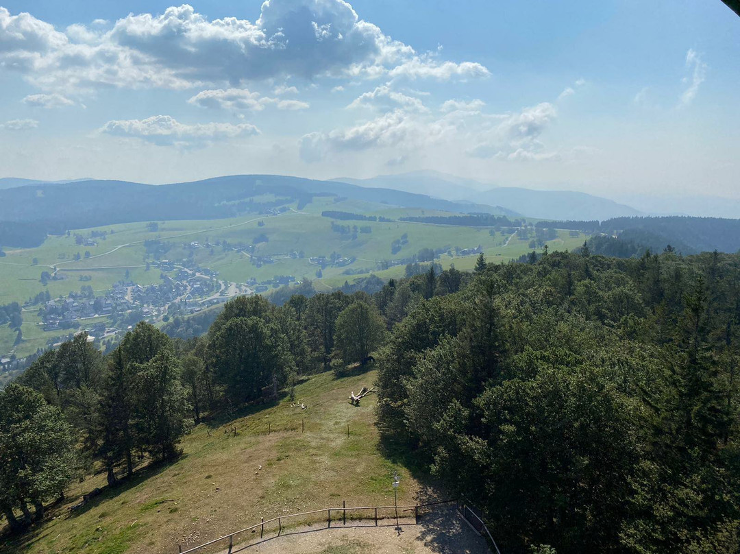 Schauinslandbahn-Horben必去景点