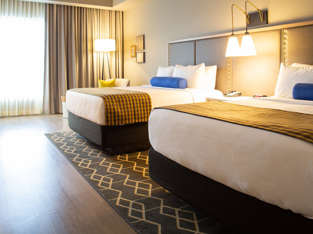 Hotel Indigo Hattiesburg By IHG主图