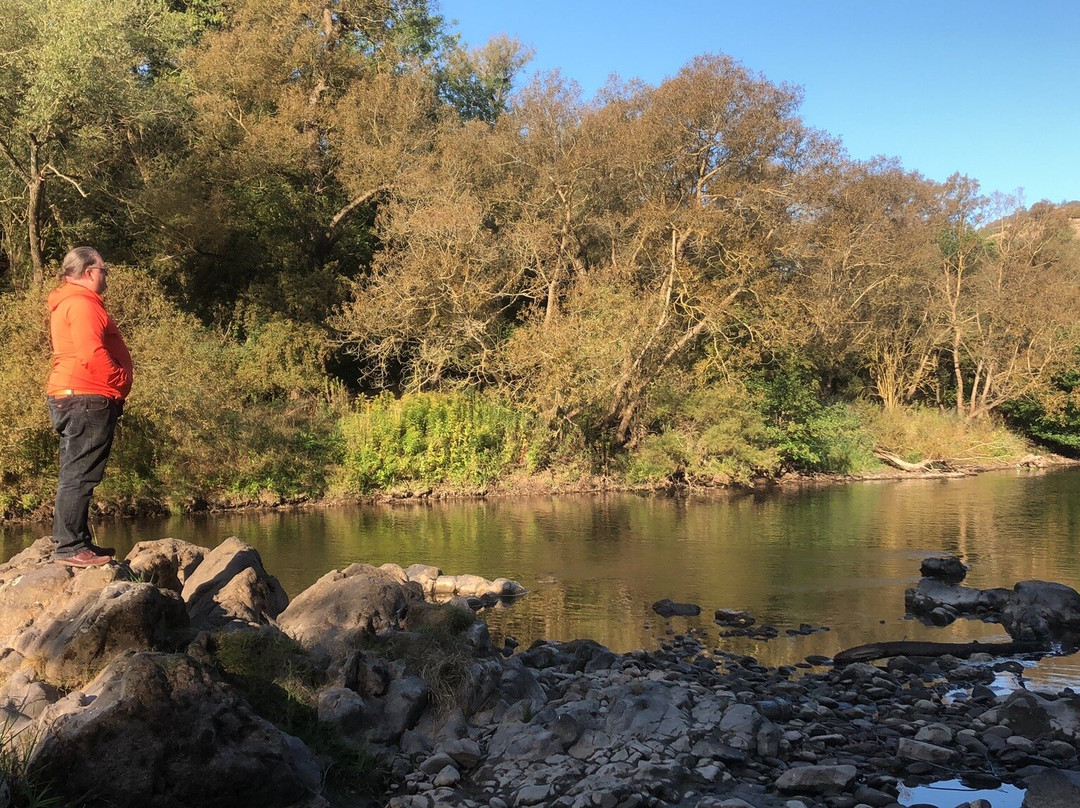 Landhotel Niederthaeler Hof主图